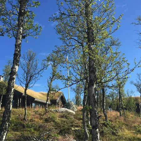 Large Log Cabin, Fun Near *