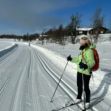 Large Log Cabin, Fun Near Dagali